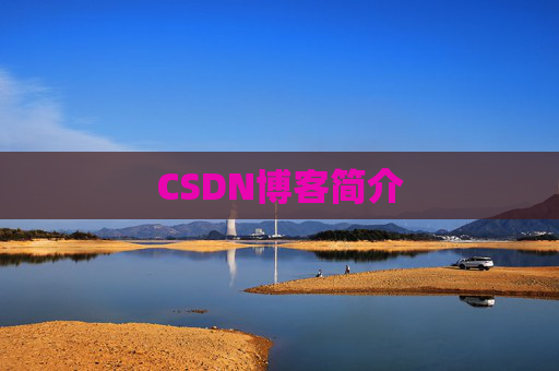 CSDN博客简介