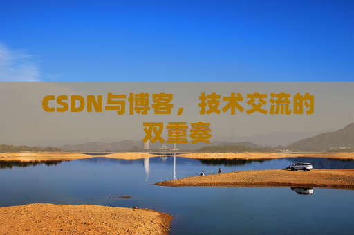 CSDN与博客，技术交流的双重奏